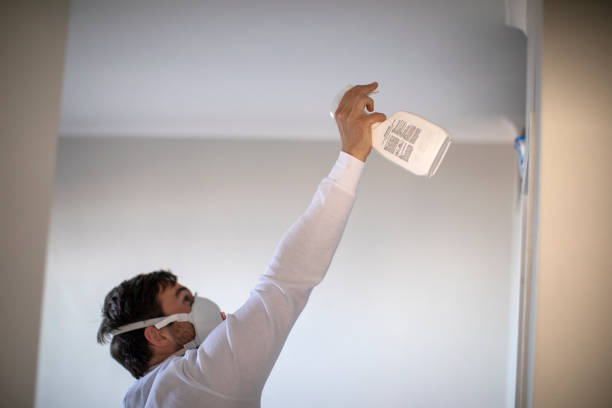 Professional Mold Removal in Lincoln Park, NY